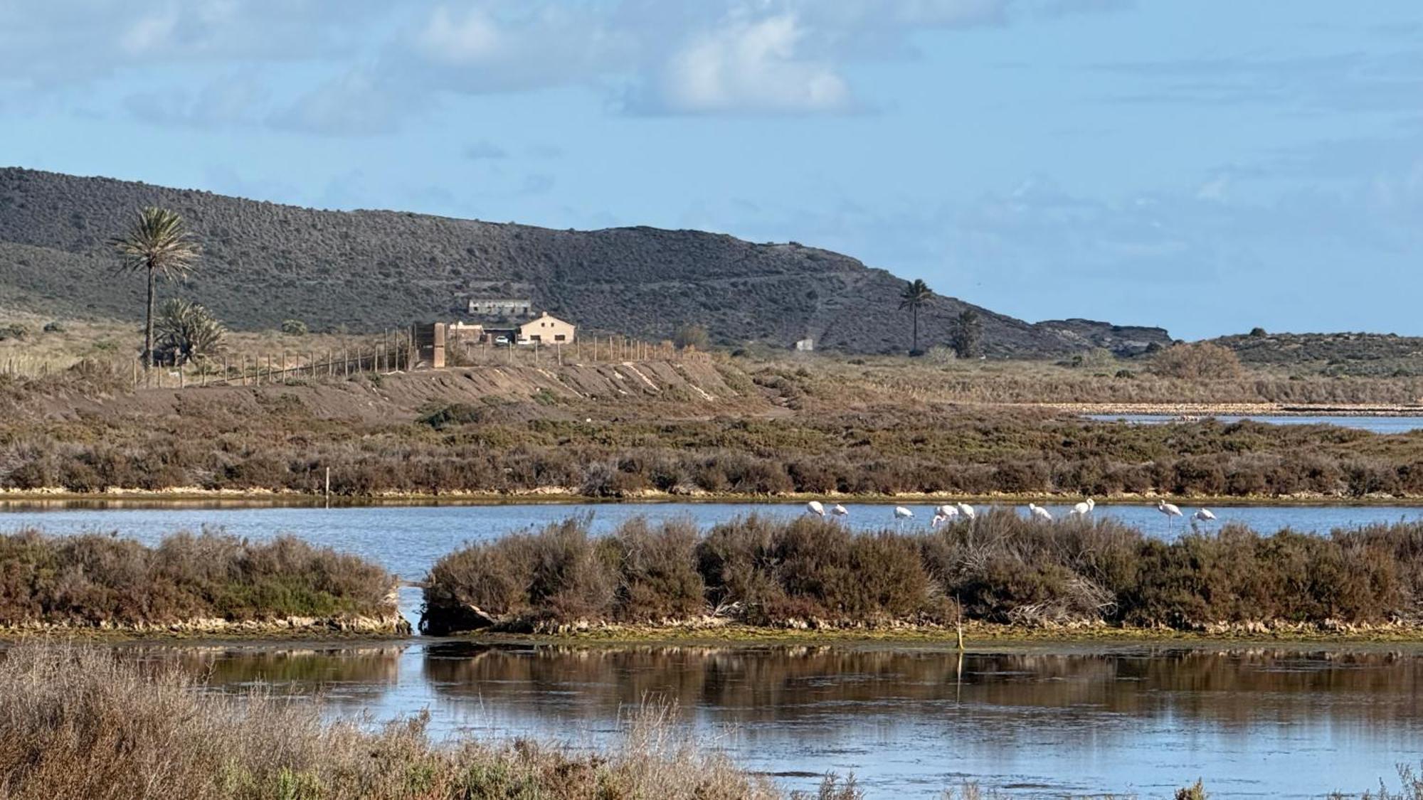 Spacious Villa With Private Pool In Serene Countryside Los Belones Buitenkant foto